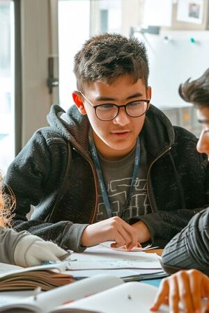 The IGCSE programme